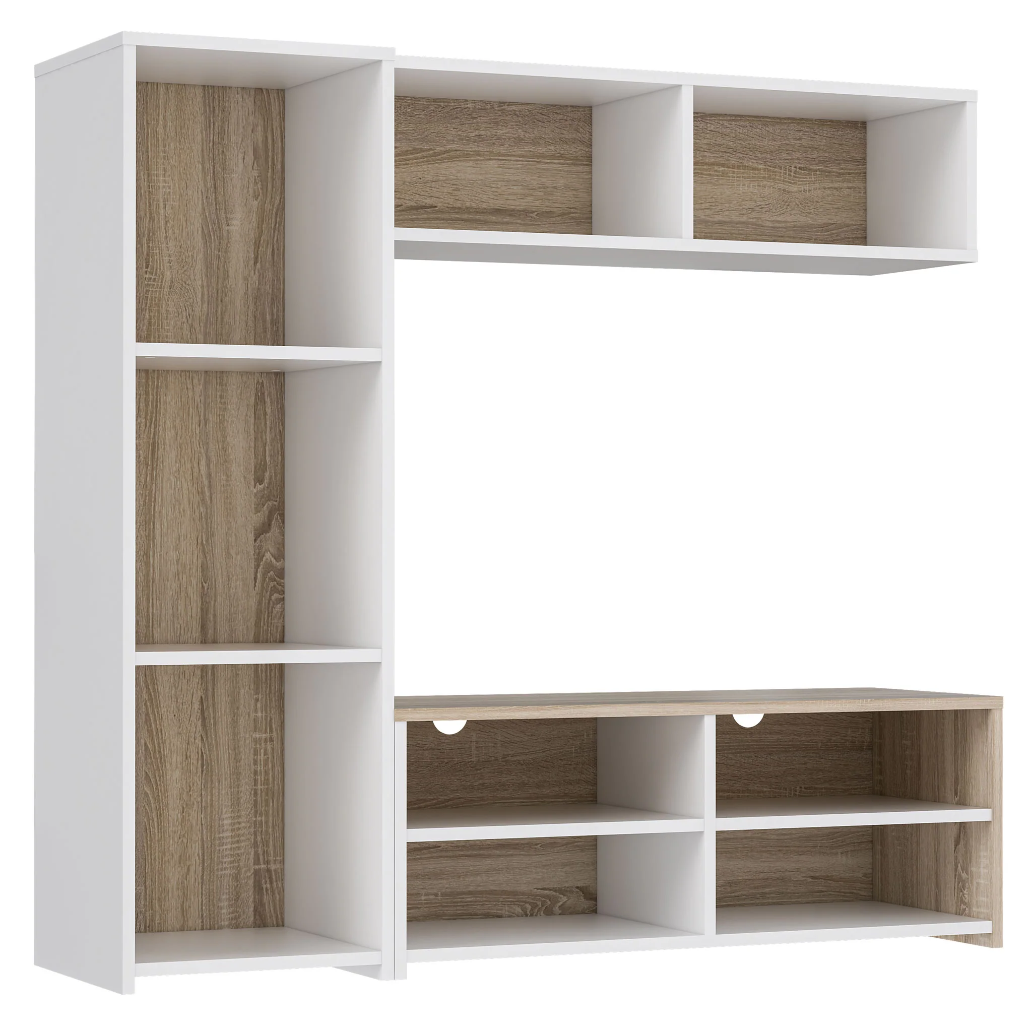 PAYCE Bibliotecă - Image 3
