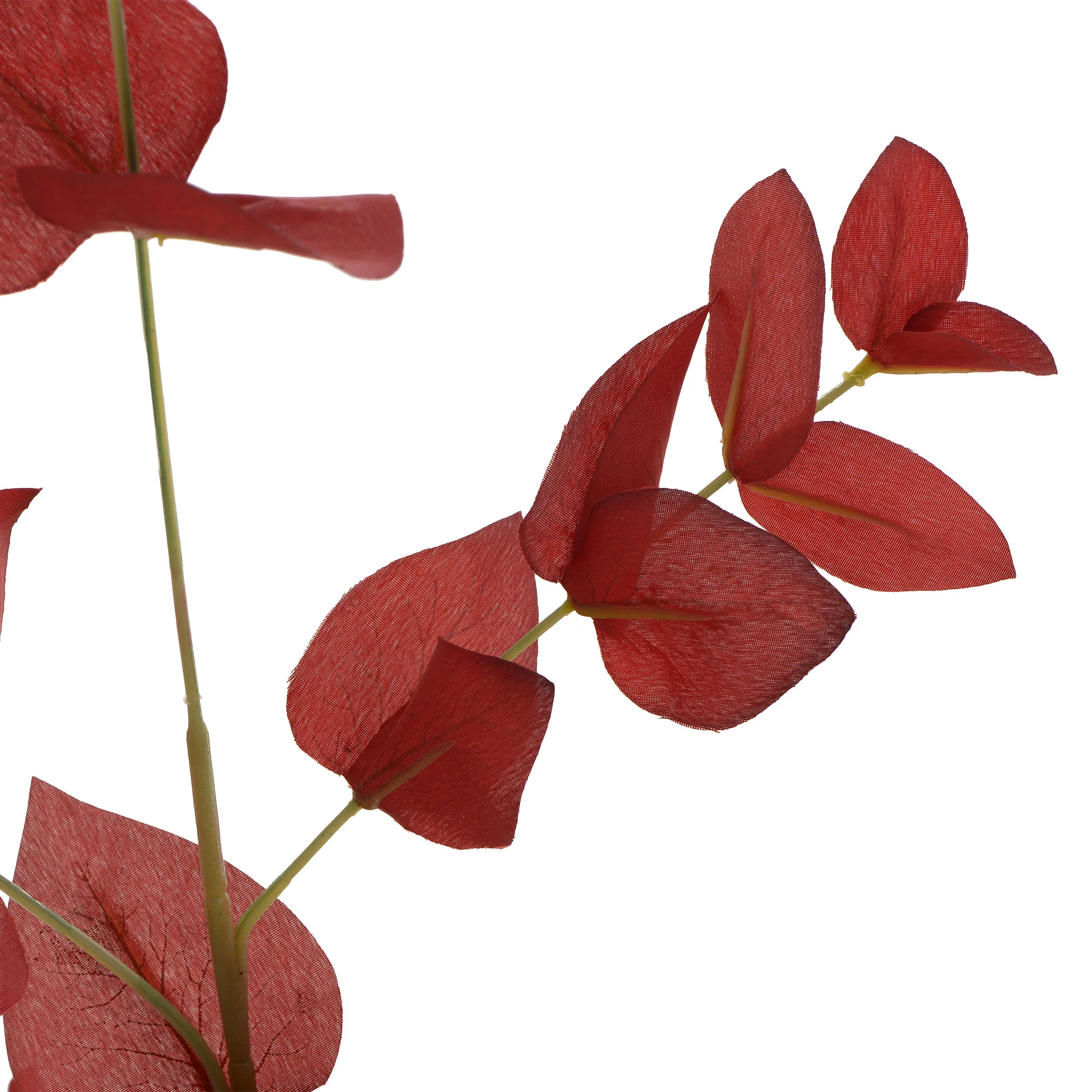 EUCALYPTHUS Crenguță artificială - Image 3