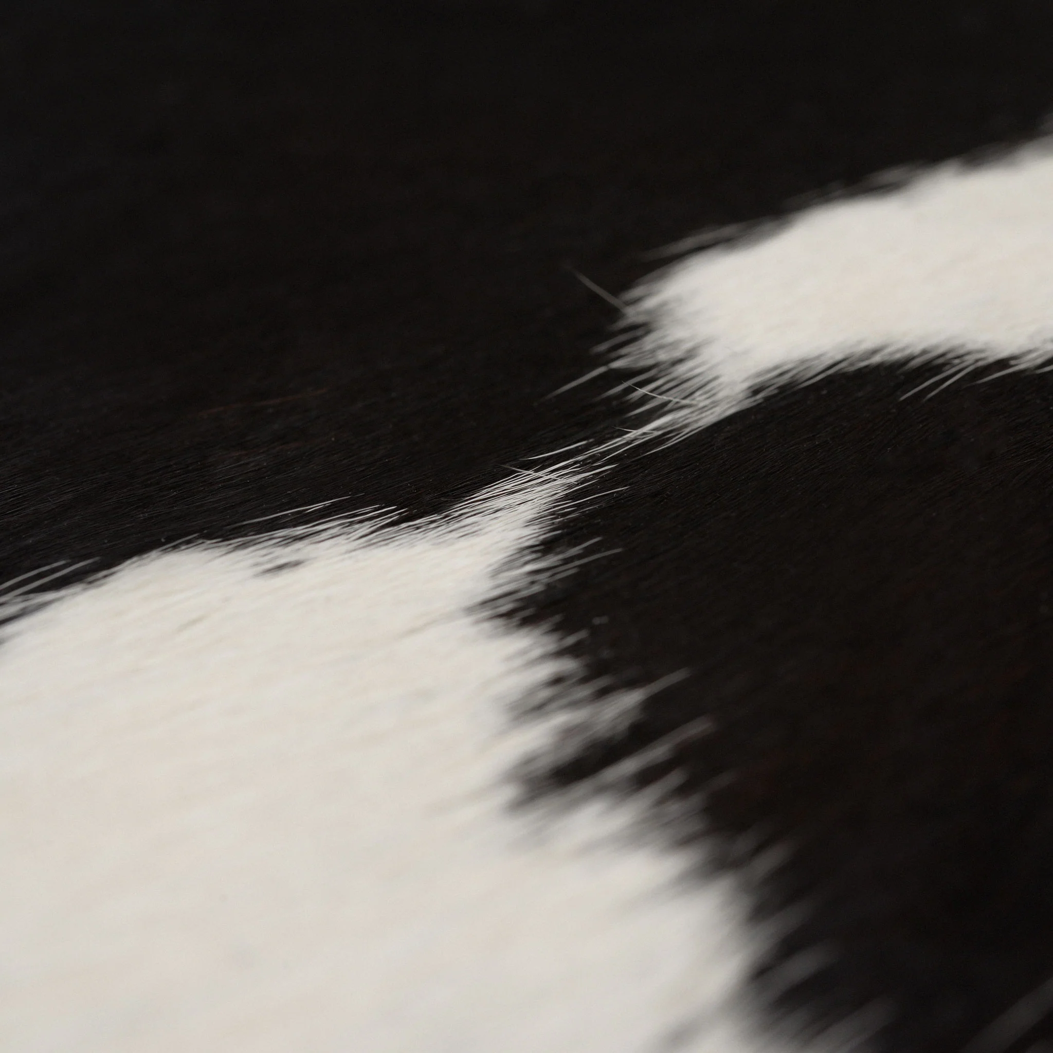 COW HIDE76 Covor cameră - Image 3